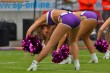 Thumbs/tn_IMG_6521.jpg