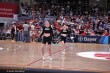 Thumbs/tn_IMG_7433.jpg