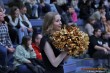 Thumbs/tn_IMG_1761.jpg
